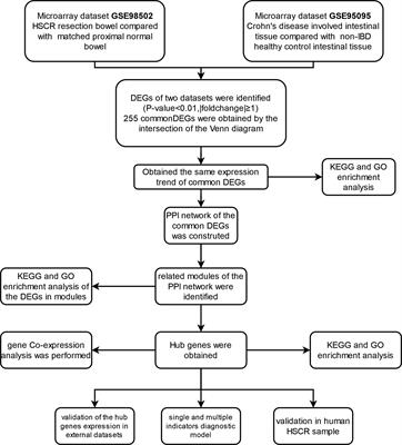 Frontiers | Identification And Validation Of The Common Pathogenesis ...